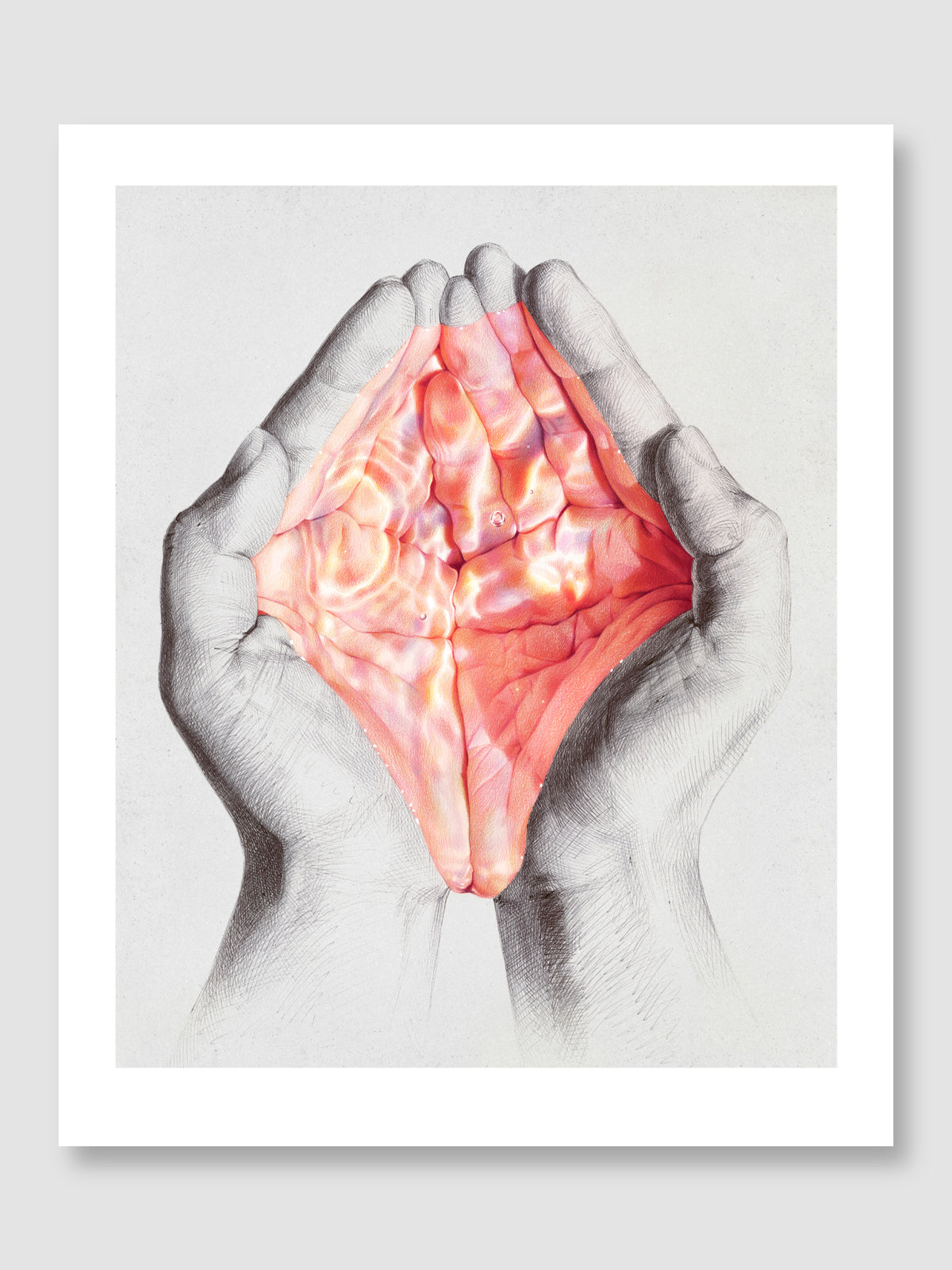Divine Water 2026 - Limited Edition Fine Art Prints